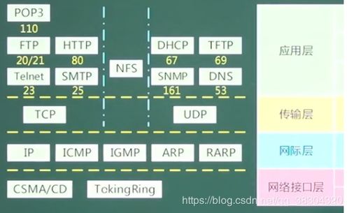 网络模型概述及其在信息安全软件开发中的应用